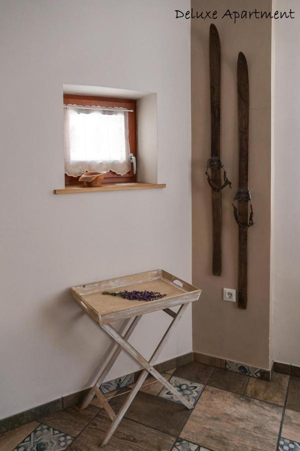 Apartment Villa Carolina 크라니스카고라 외부 사진